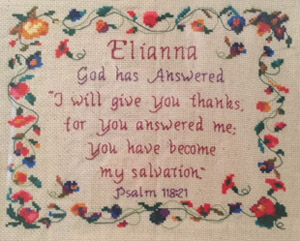 Elianna stitched by Jeanie McComb